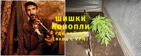 PSILOCYBIN Волоколамск