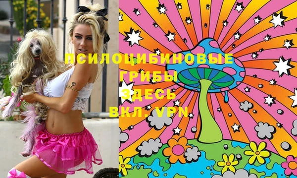 PSILOCYBIN Волоколамск