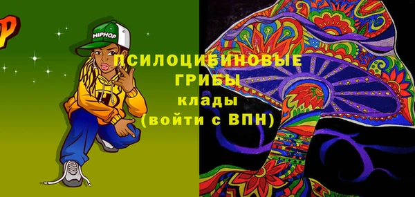 PSILOCYBIN Волоколамск