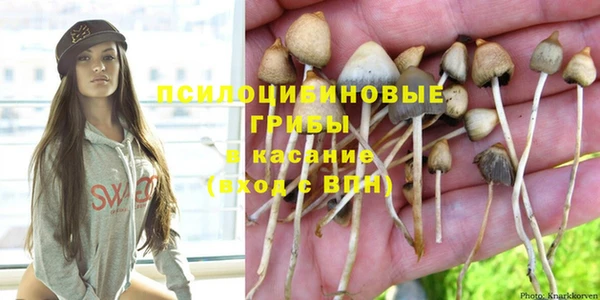 PSILOCYBIN Волоколамск