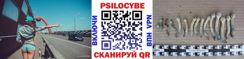 сайты даркнета состав  Ипатово  Галлюциногенные грибы MAGIC MUSHROOMS 